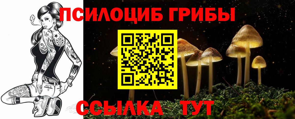 Псилоцибиновые грибы мицелий Карасук