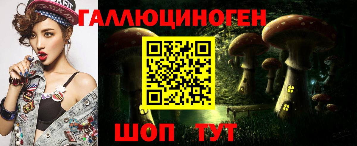 Карасук  Галлюциногенные грибы Cubensis  Псилоцибиновые грибы мицелий  Вход с VPN 